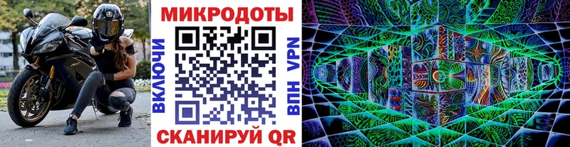 Галлюциногенные грибы Psilocybe  Нижнекамск 