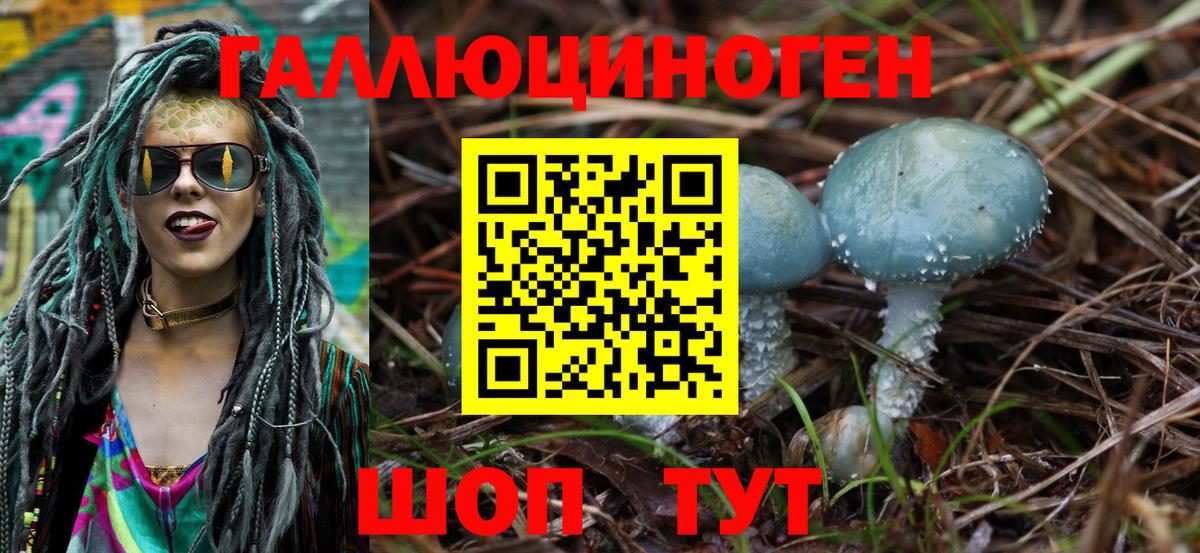 Нижнекамск  Псилоцибиновые грибы мухоморы  Вход с VPN 